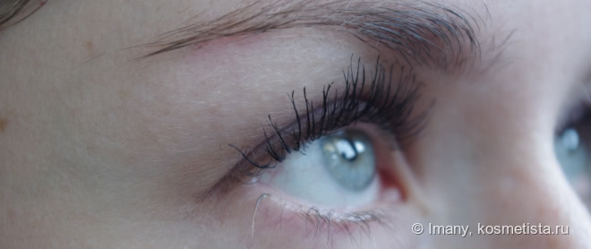 Тушь, которая порадовала - Eveline Cosmetics Curl Up Volume Mascara black