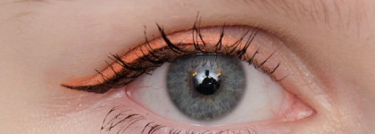 Цена имеет значение? Моя новая любовь Stellary waterproof eyeliner #02 Спелая слива
