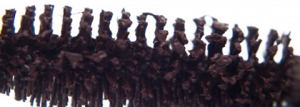 Тушь для ресниц Гурмандиз cosmetics non-stop Volume mascara #коричневая