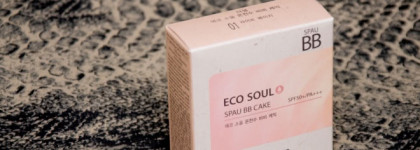 Увлажняющий the Saem Eco Soul Spau BB Cake  #01 Spf50+ PA+++