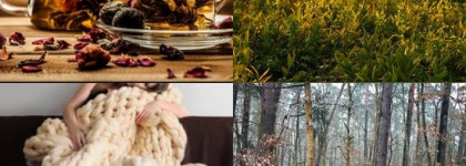 Rich от Sergey Gubanov EAU4U