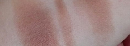 И швец, и жнец