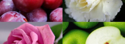 Встречаем рассветы в Тоскане с Creed Acqua Fiorentina