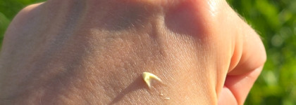 Возвращение к Kiehl's Creamy Eye Treatment with Avocado