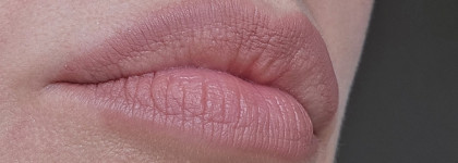 Vivienne Sabo Le Grand Volume Long Lasting Gel Lipliner в оттенках 01, 06, 07: базовый минимум или роскошный максимум