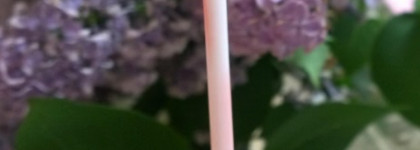 Shine bright like a diamond. Сравнение Bourjois 3D Effect Max 8H lip gloss №14 и Elizabeth Arden Beautiful Color Luminous Lip Gloss # 10 Passion Fruit