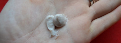 Русско- немецкая дружба между Natura Siberica, Organic Therapy, Merz