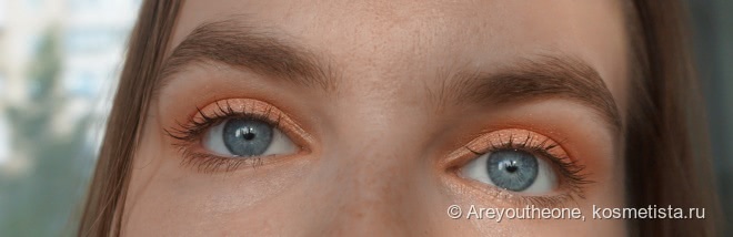 Два новичка от NYX в моей коллекции - NYX Prismatic Eyeshadow - Golden Peach, NYX Dark Circle concealer - Fair