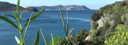 Masque Milano - Terralba - мечтая об отпуске