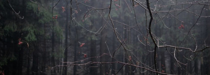 Editions de Parfums Frederic Malle French Lover EDP