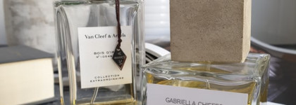 Ирисы, ирисы и еще раз ирисы. Моя коллекция. Часть 1