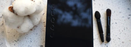 Suqqu Designing Color Eyes 01 Yuushakuyaku - моя первая японская палетка