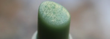 Дешево и сердито vs дорого и богато: какой он, идеальный скраб для губ?