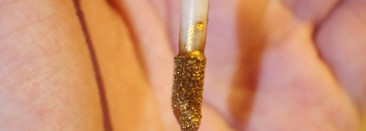 Для любителей золота на губах есть LimeCrime Velvetines Zenon