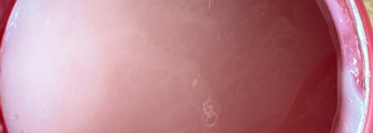 Шампунь CHI Infra Shampoo и кондиционер Inebrya Color Perfect Conditioner. Фото до и после