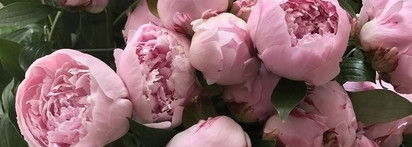 Montale Sweet Peony на страницах романа XIX века