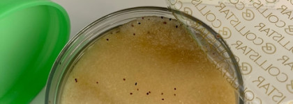 Как я полюбила скрабы с Collistar Talasso-Scrub Anti-Acqua