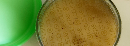 Как я полюбила скрабы с Collistar Talasso-Scrub Anti-Acqua