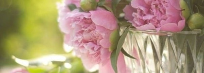 Jo Malone Peony & Blush Suede