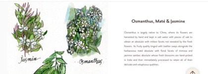 Крем для рук: Nursem, L'Occitane, MEMO Paris