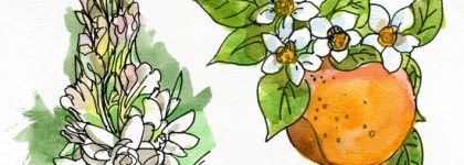 Парфюмерный уход за кожей рук Memo Paris