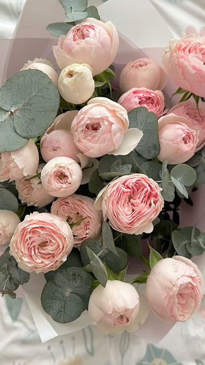 Фото автора отзывов на Косметисте