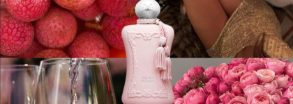 Кислая роза Квентина Биша - Delina Exclusif Parfums de Marly