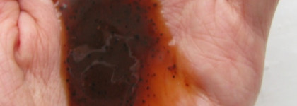 Natura Siberica Oblepikha Siberica Professional Облепиховый скраб для кожи головы