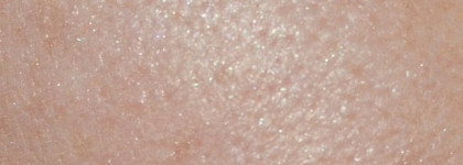 Покупки уходящей осени - моделирующие румяна Shiseido Face Color Enhancing Trio #РК1 Lychee Pink и пудровые румяна Dior Diorblush Vibrant Colour Powder Blush # 939 Rose Libertine