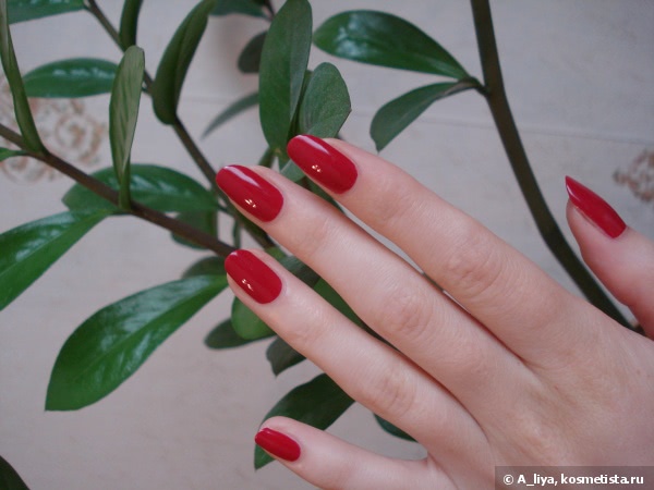 Осень с Chanel Le Vernis Nail Colour 559 Frenzy, 563 Vertigo & 561 Suspicious