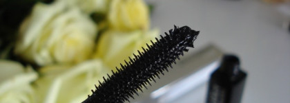 Дуэт на каждый день от марки Dior