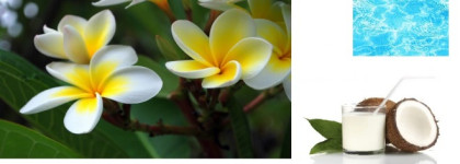 "Как я провел это лето" или коллекция воспоминаний с ароматами Memories от Oriflame