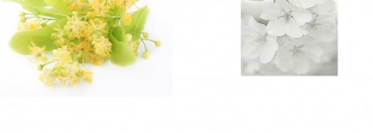 "Как я провел это лето" или коллекция воспоминаний с ароматами Memories от Oriflame