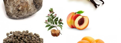 Сады цветут не один раз в год вместе с Lancome Tresor EDP