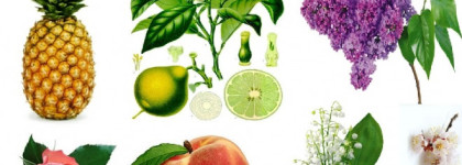 Сады цветут не один раз в год вместе с Lancome Tresor EDP