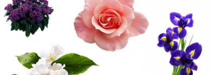 Сады цветут не один раз в год вместе с Lancome Tresor EDP