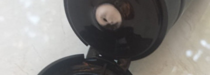 Два бюджетных крема для рук: "отличник" Natura Siberica и "двоечник" Бархатные ручки