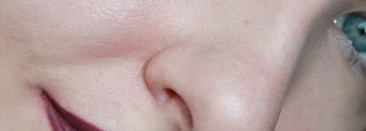 Wet'n'Wild MegaLast Matte Lip Color 916 D Ravin' Raisin