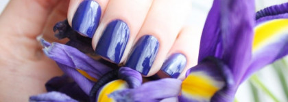 Весенние ирисы