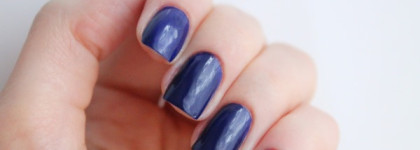 Весенние ирисы