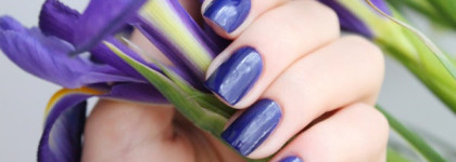 Весенние ирисы