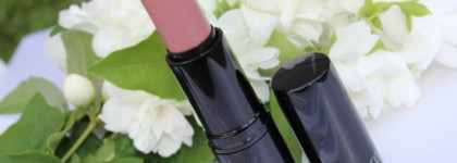 Увлажняющая помада «Совершенный цвет» Artdeco Perfect Color Lipstick # 22 nude antique pink