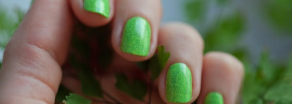 Немного зелени среди зимы