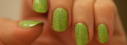 Немного зелени среди зимы