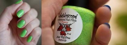 Немного зелени среди зимы