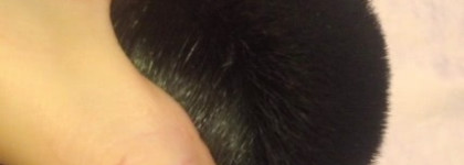 Шедевр от Givenchy: Powder Brush - кисть для пудры, Blush Brush - кисть для румян и  Bronzer Brush - кисть кабуки