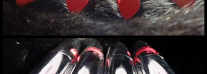 Вельветовое искушение: Pupa Miss Pupa Velvet Matt в оттенках #200, #202, #300, #303