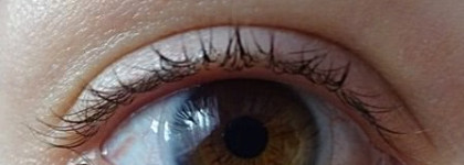 Секрет длинных ресниц: Eveline Cosmetics Sos Lash Booster with Argan Oil