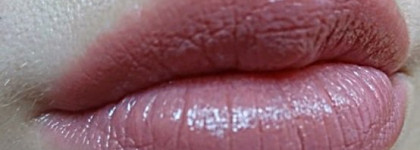 Красота в простоте: Bourjois Rouge Edition Lipstick #04 Rose Tweed