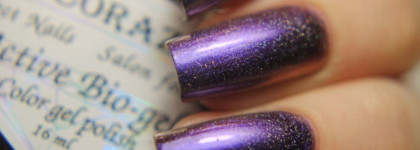 Невероятная коллекция хамелеонов El Corazon